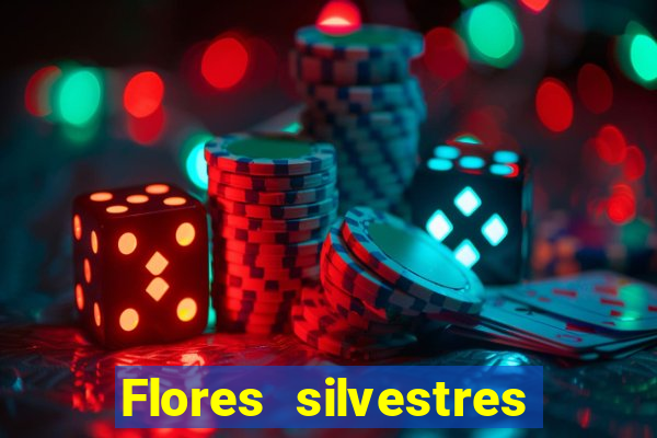 Flores silvestres brasileiras brasileiras flores silvestres nomes e imagens